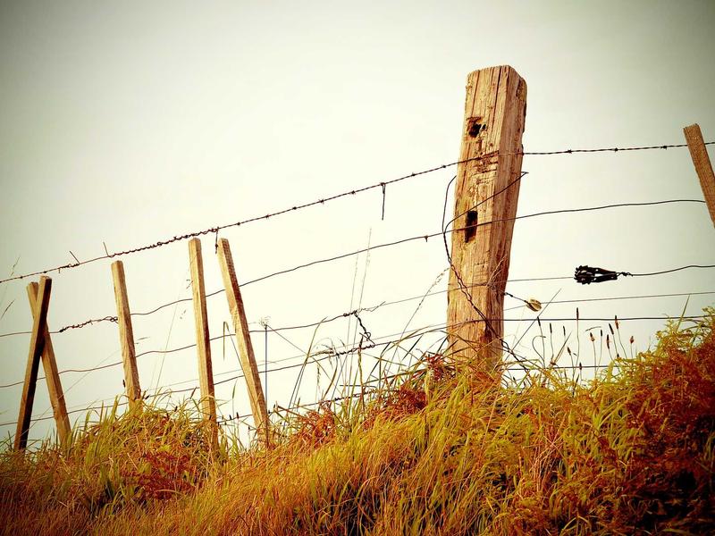 系统缓存垃圾清理<br>冗余缓存占用内存深度清理